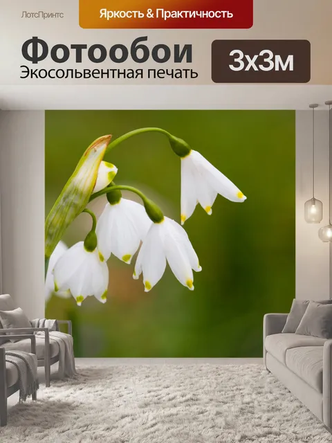 Фотообои Подснежники