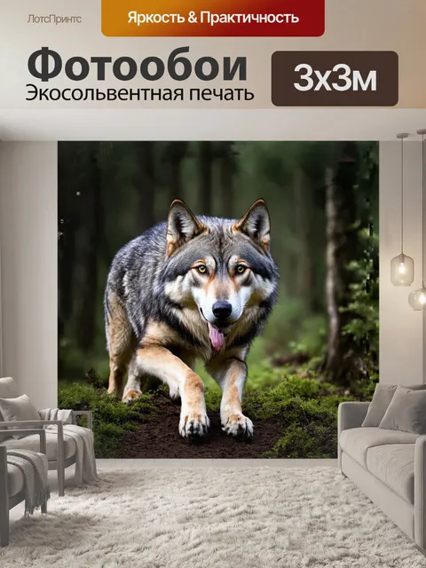 Фотообои волк, хищник, серый
