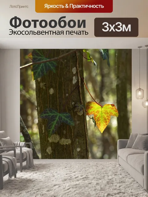 Фотообои Листья