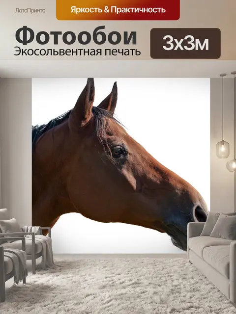 Фотообои Лошадиная голова