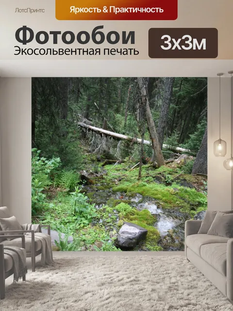 Фотообои Лес Деревья Брук поток