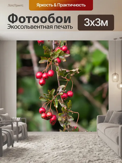 Фотообои Красные ягоды осенью