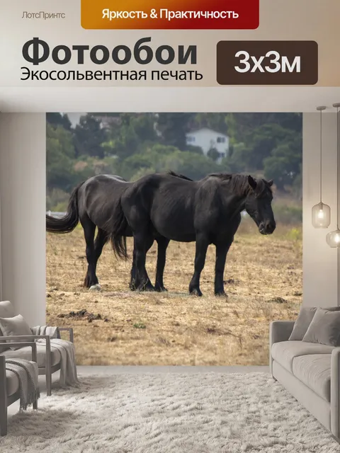 Фотообои Лошади