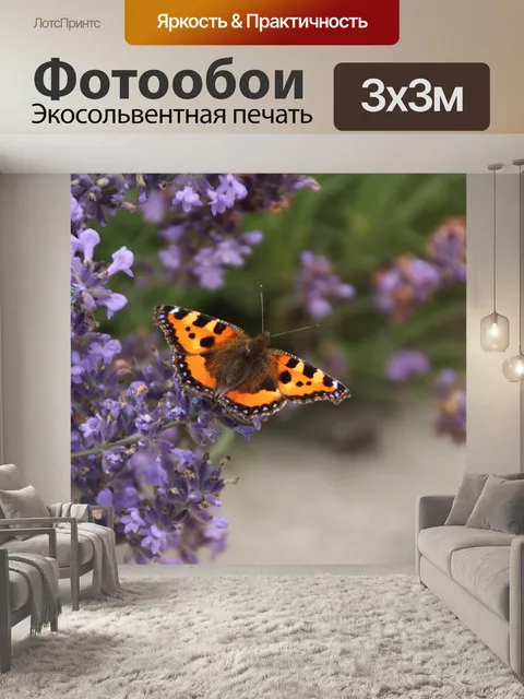 Фотообои Бабочка