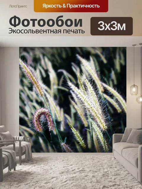Фотообои Полевые цветы