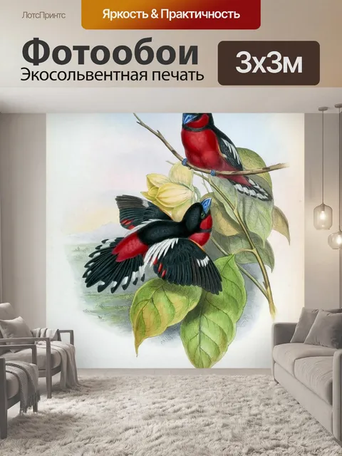 Фотообои Иллюстрация винтажного искусства птиц