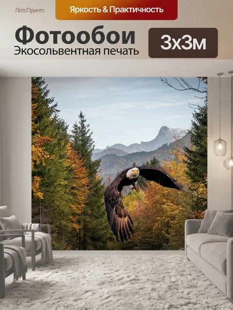 Фотообои Орел