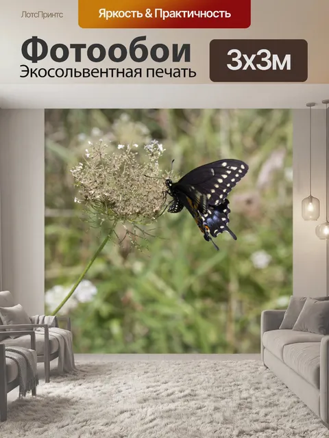 Фотообои Голубой ласточкин хвост