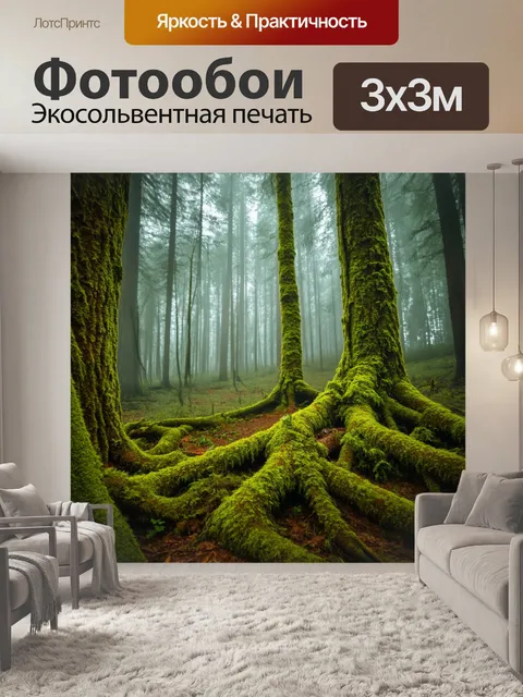 Фотообои россия леса — загадочный лес с туманом