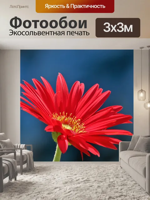Фотообои Красная гербера на синем фоне