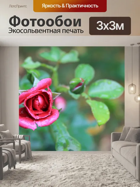Фотообои Природа