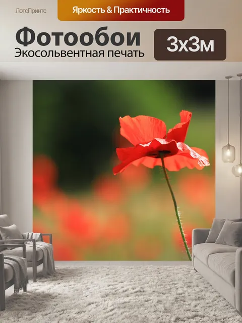 Фотообои Цветок