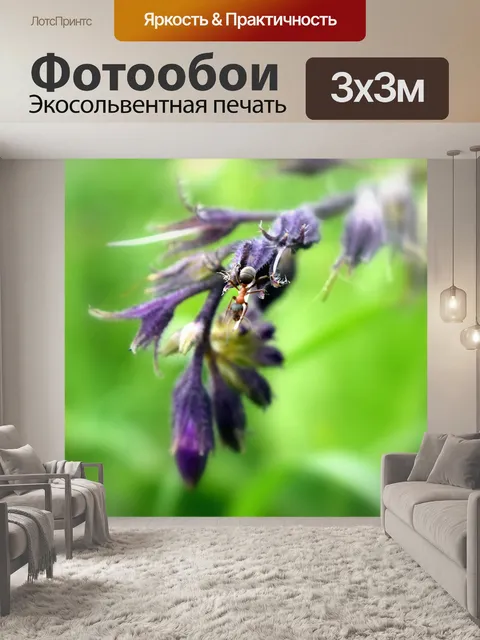 Фотообои Цветок
