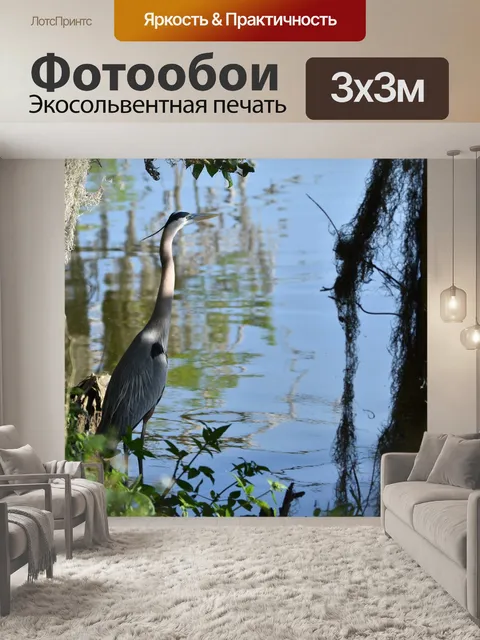 Фотообои Большая голубая цапля
