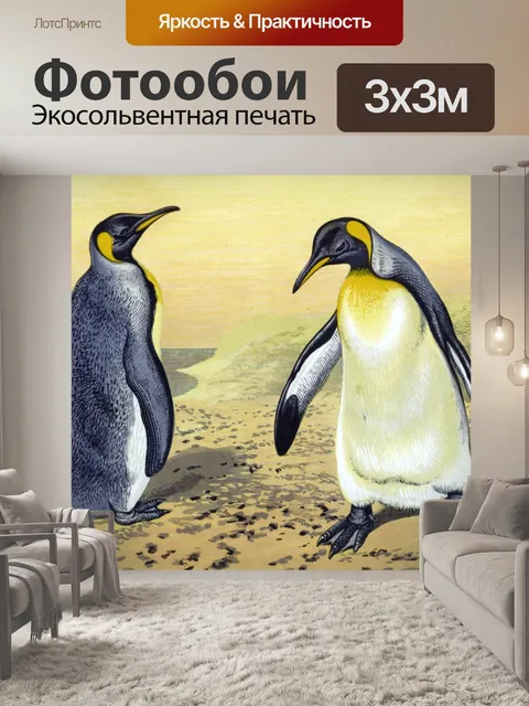 Фотообои Старинные пингвины старые иллюстрации