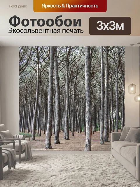 Фотообои Лес