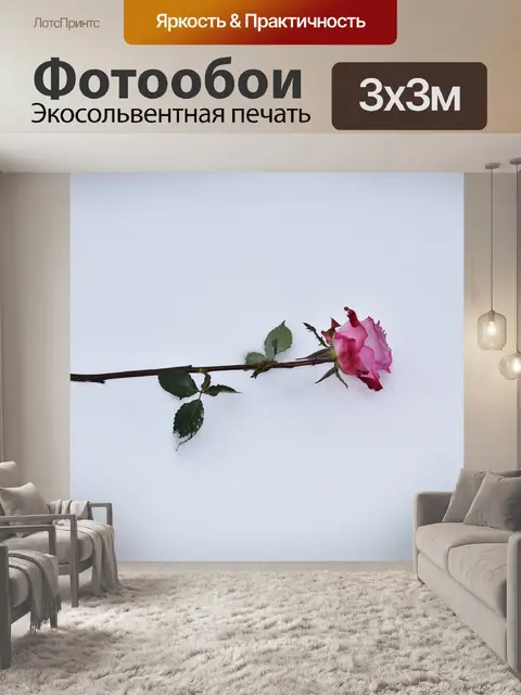 Фотообои Розовая роза в снегу