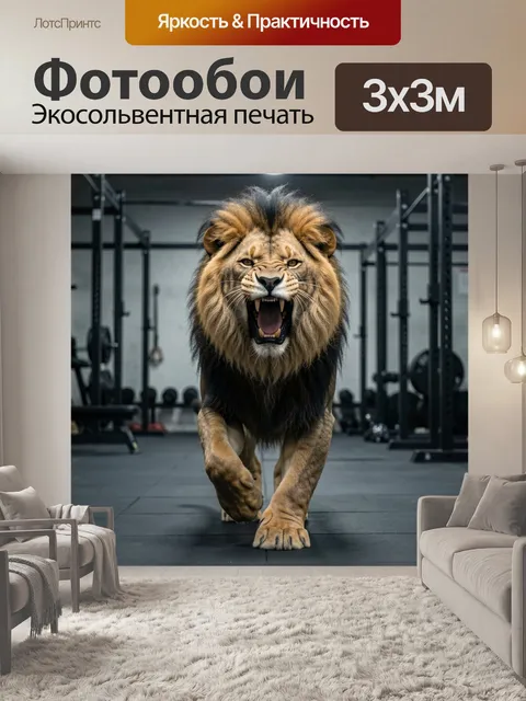 Фотообои Рычущий лев в спортзале