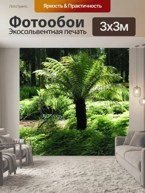 Фотообои Папоротник
