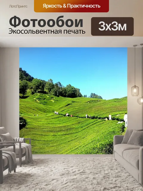 Фотообои Чайная плантация