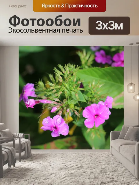 Фотообои флокс