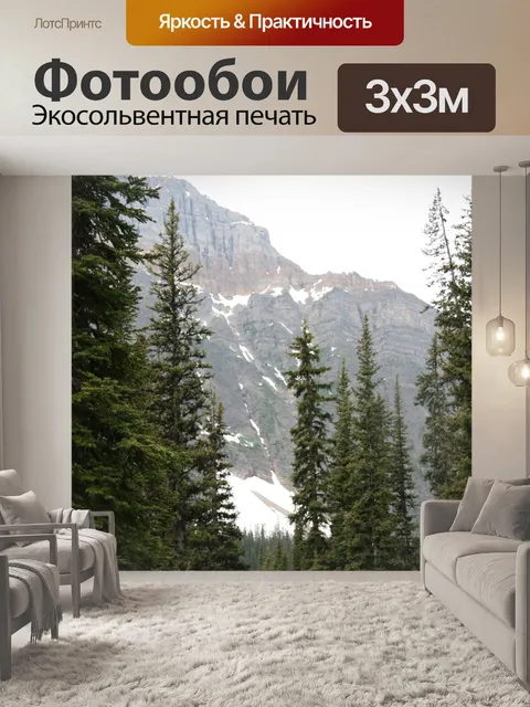 Фотообои Хребет деревья Лес