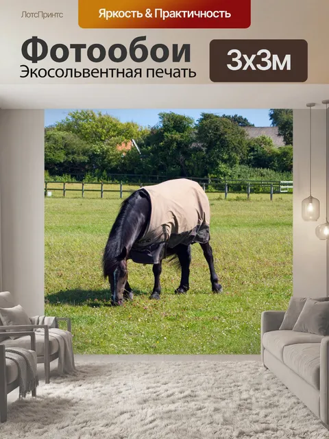 Фотообои Выпаса лошадей