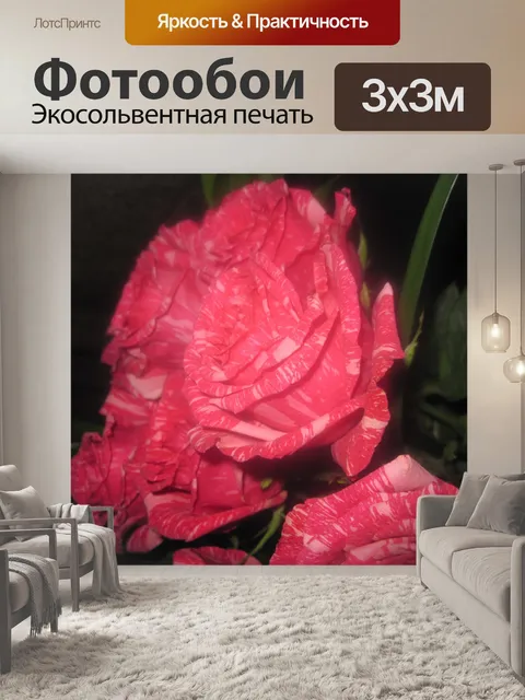 Фотообои Люблю тебя розы