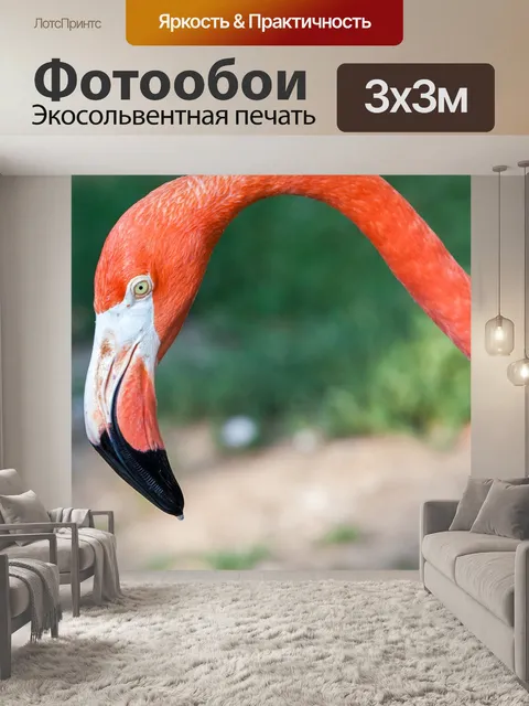 Фотообои Фламинго