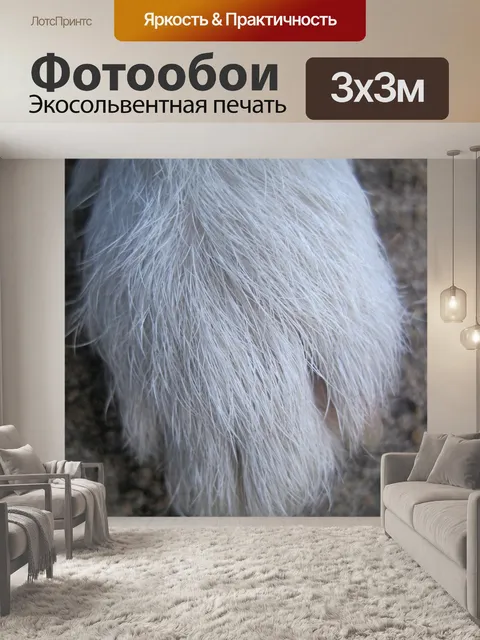 Фотообои белые грубые волосы под ноги собаки