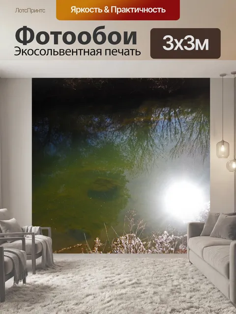 Фотообои солнце, ярко отражающееся на реке