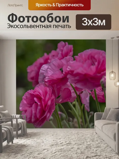 Фотообои Цветы розового лютика