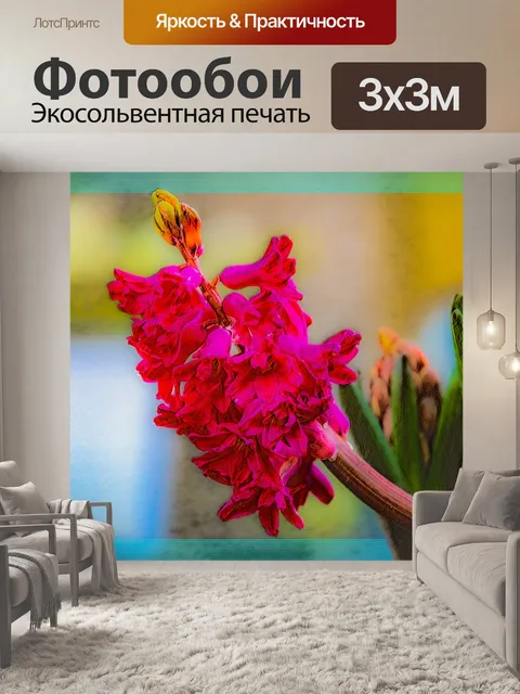 Фотообои Фон, цветок, обработка фотографий