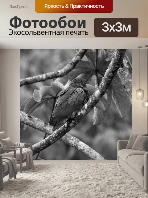 Фотообои Черное и белое