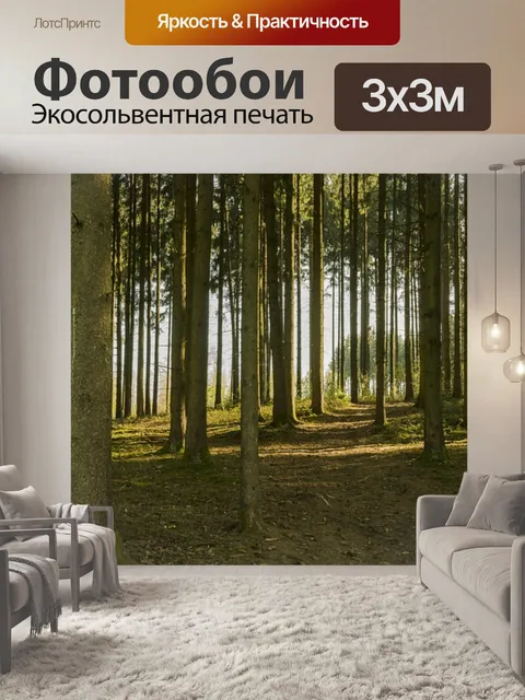 Фотообои Панорама