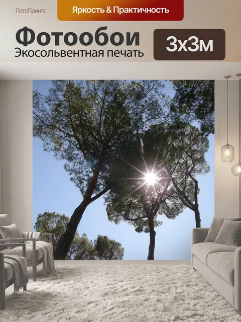 Фотообои Солнце