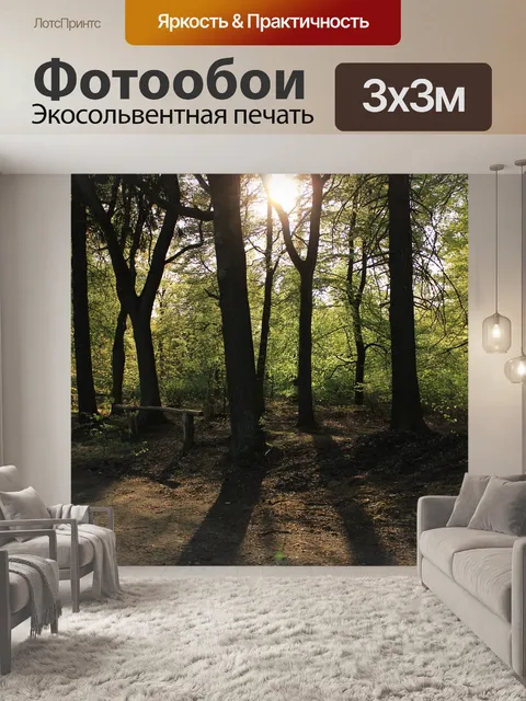 Фотообои Лес