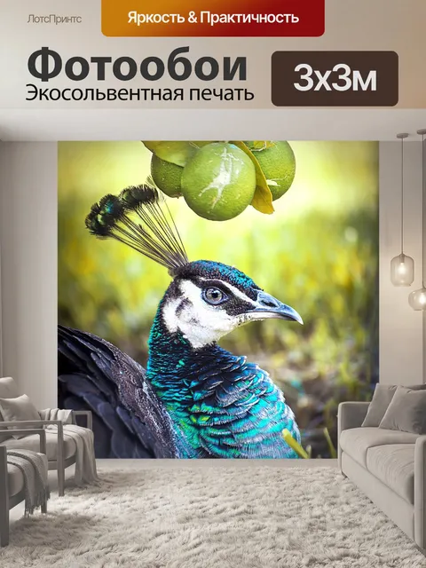 Фотообои Павлин