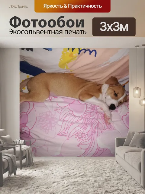 Фотообои Щенок спит