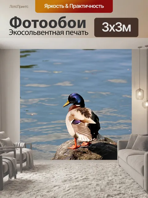 Фотообои Озеро