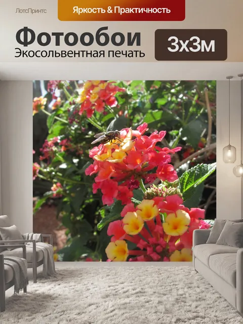 Фотообои Красные цветы