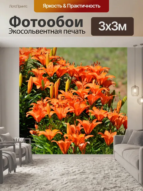 Фотообои Яркие Лилии