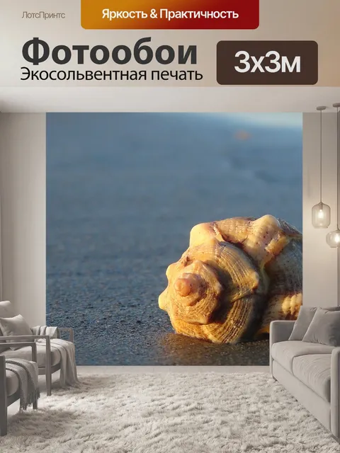 Фотообои Морская ракушка