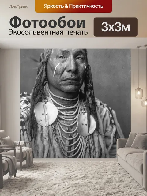 Фотообои Исторический Индийская американский глав
