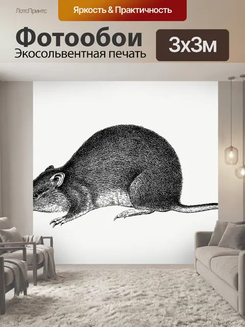 Фотообои Мышь крыса винтажное искусство