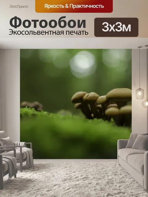 Фотообои Грибы