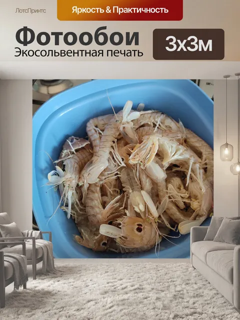 Фотообои Рыбы