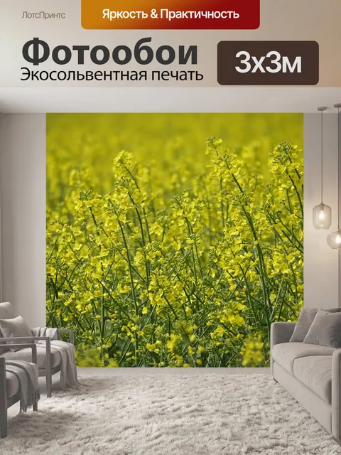 Фотообои Поле рапса