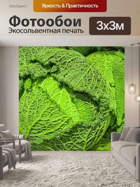 Фотообои зеленая савойская капуста