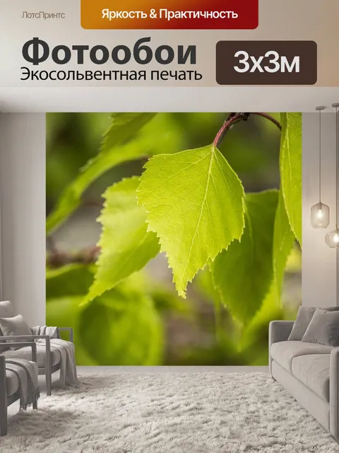 Фотообои Береза